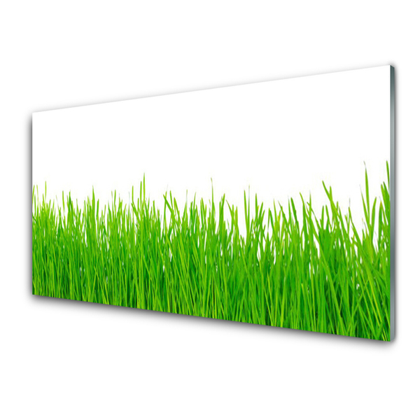 Konyhai fali panel Grass nature plant