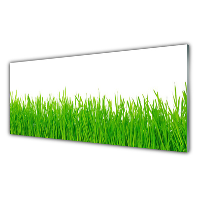 Konyhai fali panel Grass nature plant