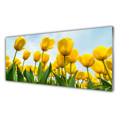 Konyhai üveg panel Tulipán virágok plant