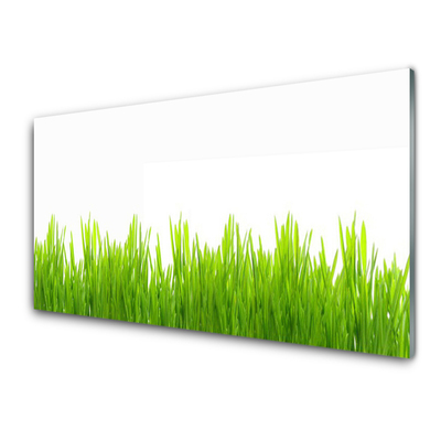 Konyhai falburkoló panel Grass nature plant