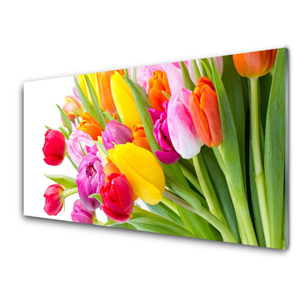 Konyhai üveg fali panel Tulipán virágok plant