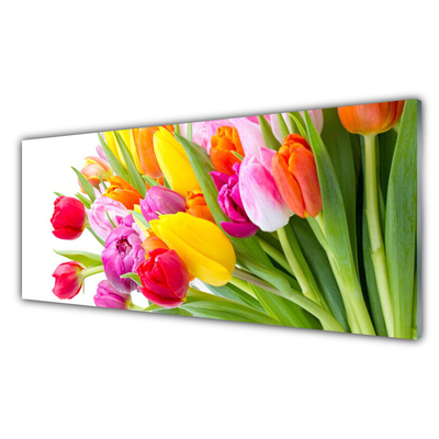 Konyhai üveg fali panel Tulipán virágok plant