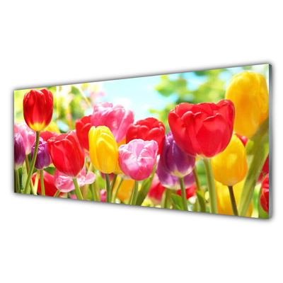 Konyhai fali panel Tulipán virágok plant