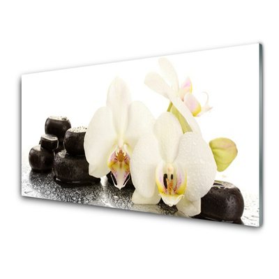 Konyhai falburkoló panel Fehér orchidea virág