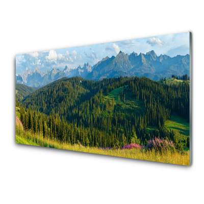 Konyhai falvédő panel Mount forest nature