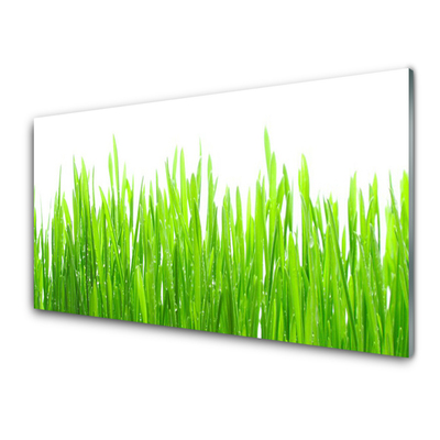 Konyhai üveg fali panel Grass nature plant