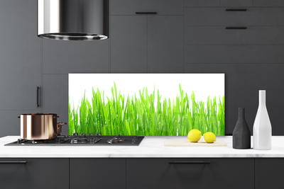 Konyhai üveg fali panel Grass nature plant