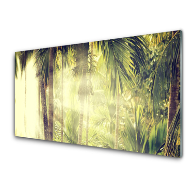 Konyhai falvédő panel Palm tree forest nature