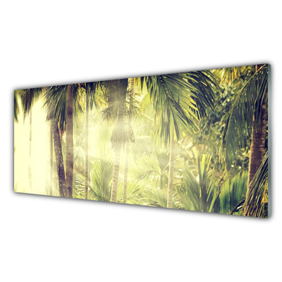 Konyhai falvédő panel Palm tree forest nature