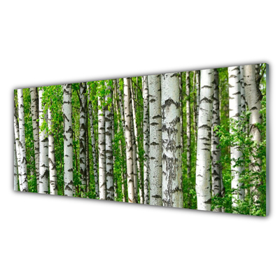Konyhai üveg fali panel Nature plant erdei fák