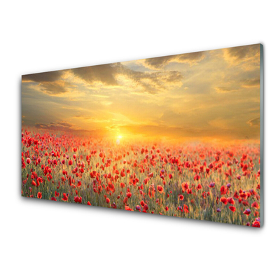 Konyhai fali panel Sun meadow poppy flowers