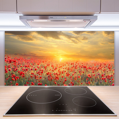 Konyhai fali panel Sun meadow poppy flowers