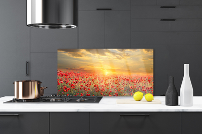 Konyhai fali panel Sun meadow poppy flowers