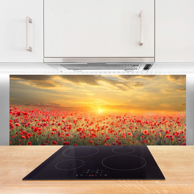 Konyhai fali panel Sun meadow poppy flowers