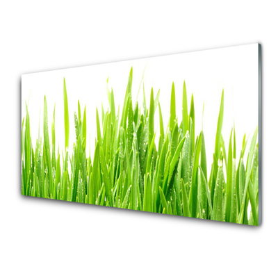 Konyhai dekor panel Grass nature plant