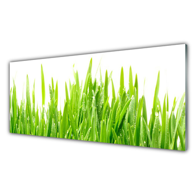 Konyhai dekor panel Grass nature plant