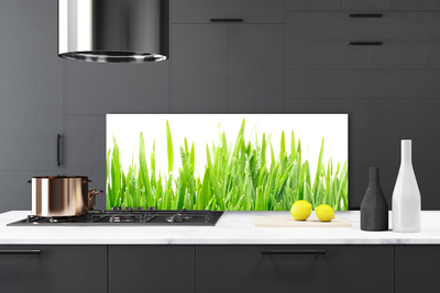 Konyhai dekor panel Grass nature plant