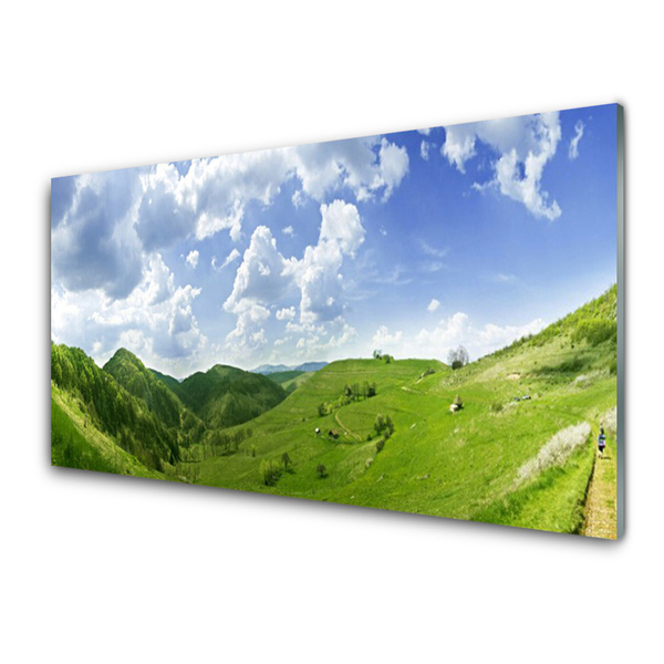 Konyhai fali panel Mountain meadow nature field