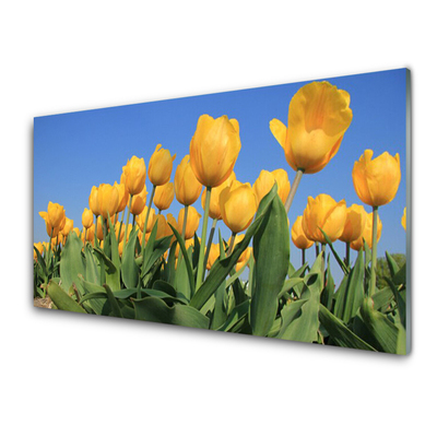 Konyhai hátfal panel Tulipán virágok plant