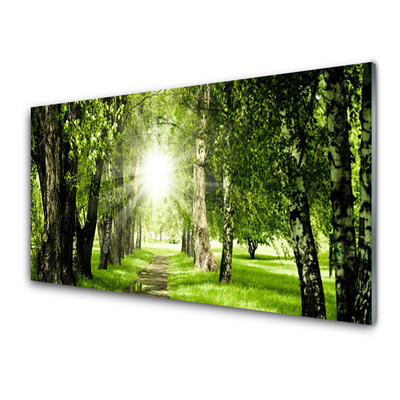 Konyhai panel Sun forest path nature