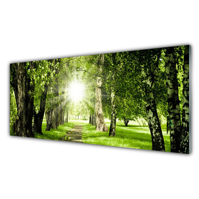 Konyhai panel Sun forest path nature