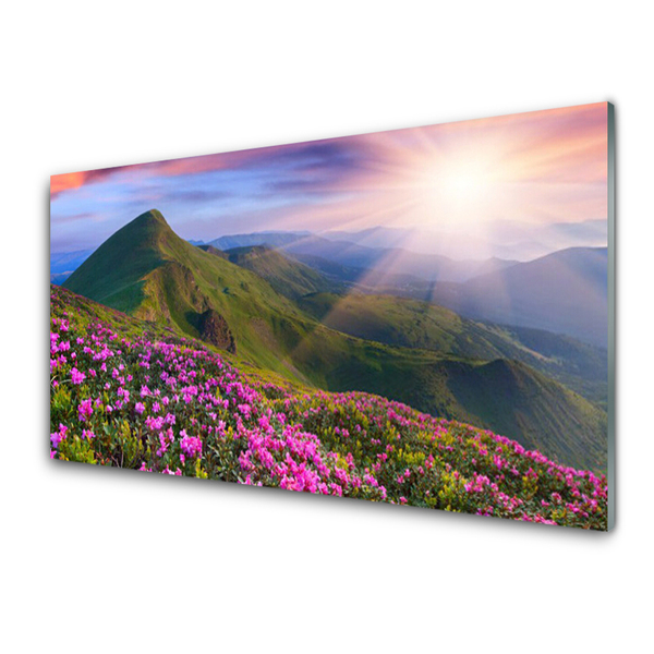 Konyhai panel Mountain meadow virág tájkép