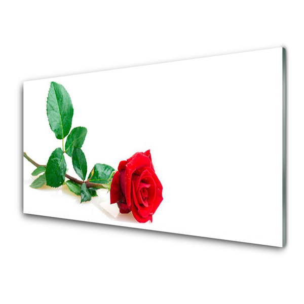 Konyhai falvédő panel Rózsa virág növény természet