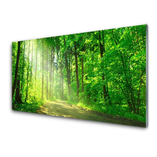 Konyhai falburkoló panel Forest sáv fák természet