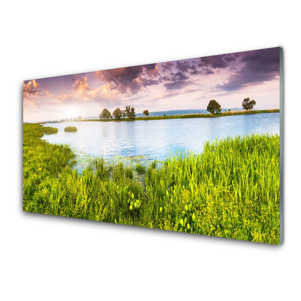 Konyhai panel Grass lake nature