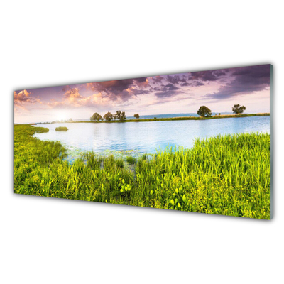 Konyhai panel Grass lake nature