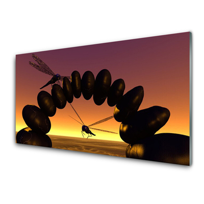 Konyhai hátfal panel Art szitakötők rovarok