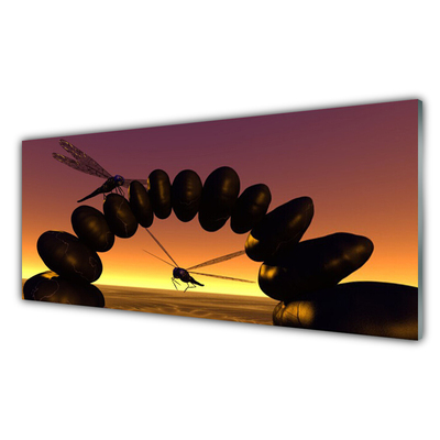 Konyhai hátfal panel Art szitakötők rovarok