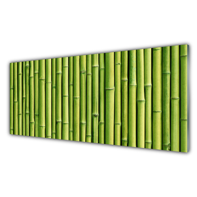 Konyhai hátfal panel Bambusz növény természet