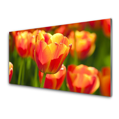 Konyhai falburkoló panel Tulipán virágok plant