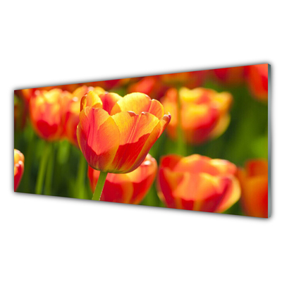 Konyhai falburkoló panel Tulipán virágok plant