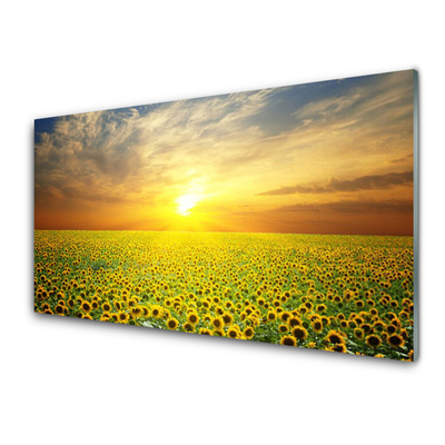 Konyhai fali panel Sun meadow napraforgók