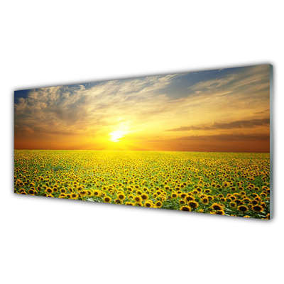 Konyhai fali panel Sun meadow napraforgók