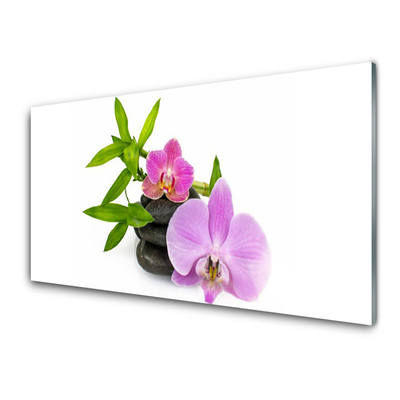 Konyhai dekor panel Virág orchidea növény