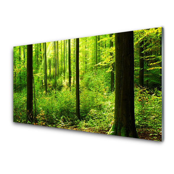 Konyhai fali panel Green forest fák természet
