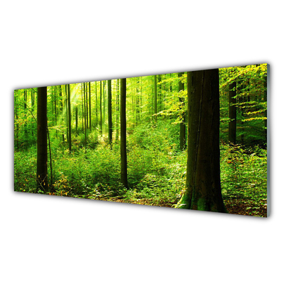 Konyhai fali panel Green forest fák természet