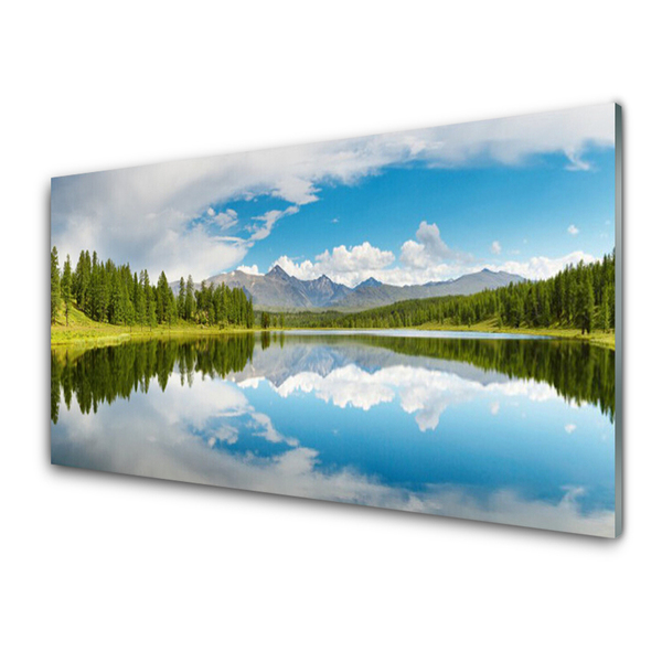 Konyhai falvédő panel Forest lake hegyek táj