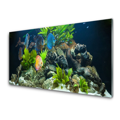Konyhai hátfal panel Hal akvárium nature