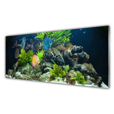 Konyhai hátfal panel Hal akvárium nature