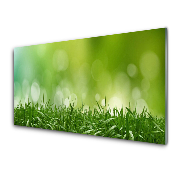 Konyhai dekor panel Grass nature plant