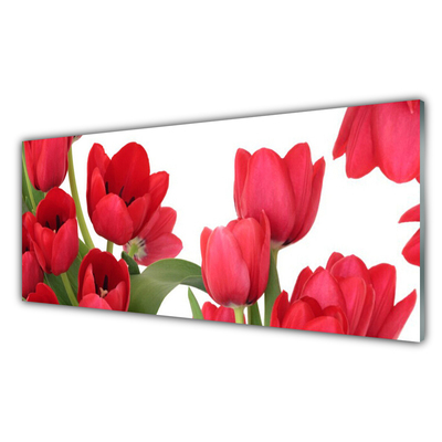 Konyhai fali panel Tulipán virágok plant