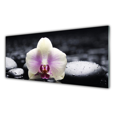 Konyhai falburkoló panel Virág orchidea növény