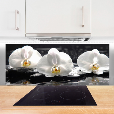 Konyhai fali panel Fehér orchidea virág