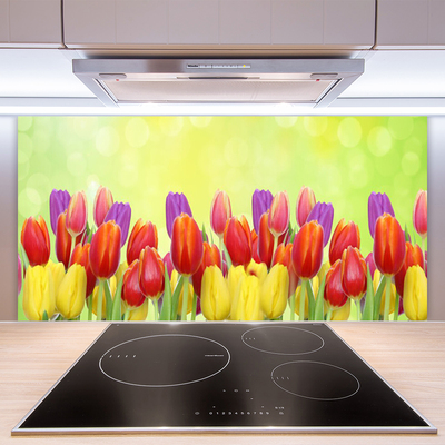 Konyhai falvédő panel Tulipán virágok plant