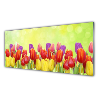 Konyhai falvédő panel Tulipán virágok plant