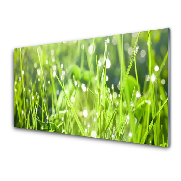 Konyhai falvédő panel Grass nature plant